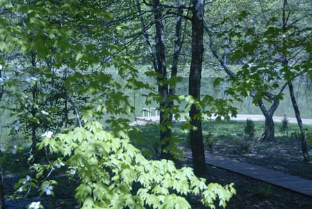 view from deck spring11